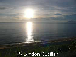 Sea  Grass by Lyndon Cubillan 